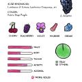 Lambrusco