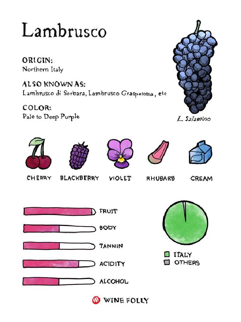 Featured image of post Lambrusco